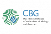 CBG