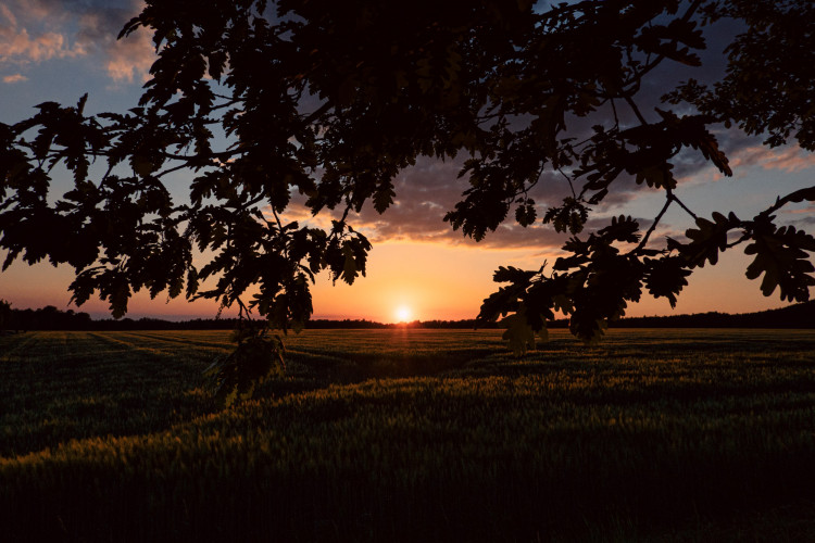 Robertlohse.de-Outdoor-24