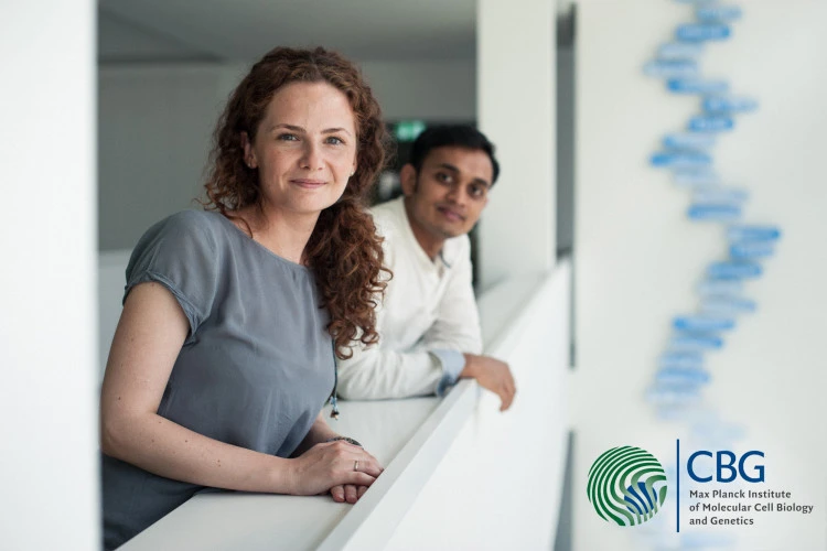 Robertlohse.de-Max-Planck-Institut für molekulare Zellbiologie und Genetik (MPI-CBG